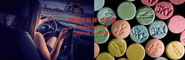 spice Медвежьегорск
