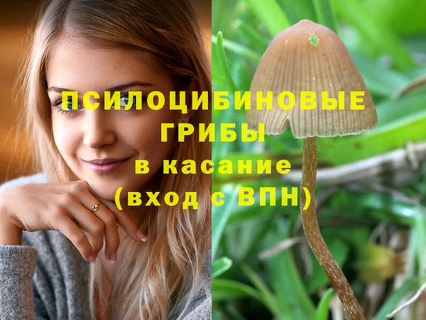 MESCALINE Магадан