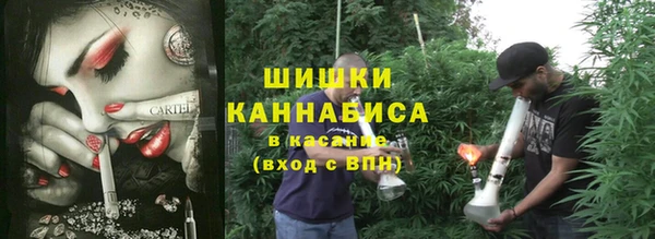дживик Липки