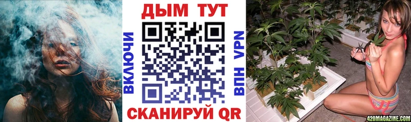 закладки  Цоци-Юрт  Канабис White Widow 